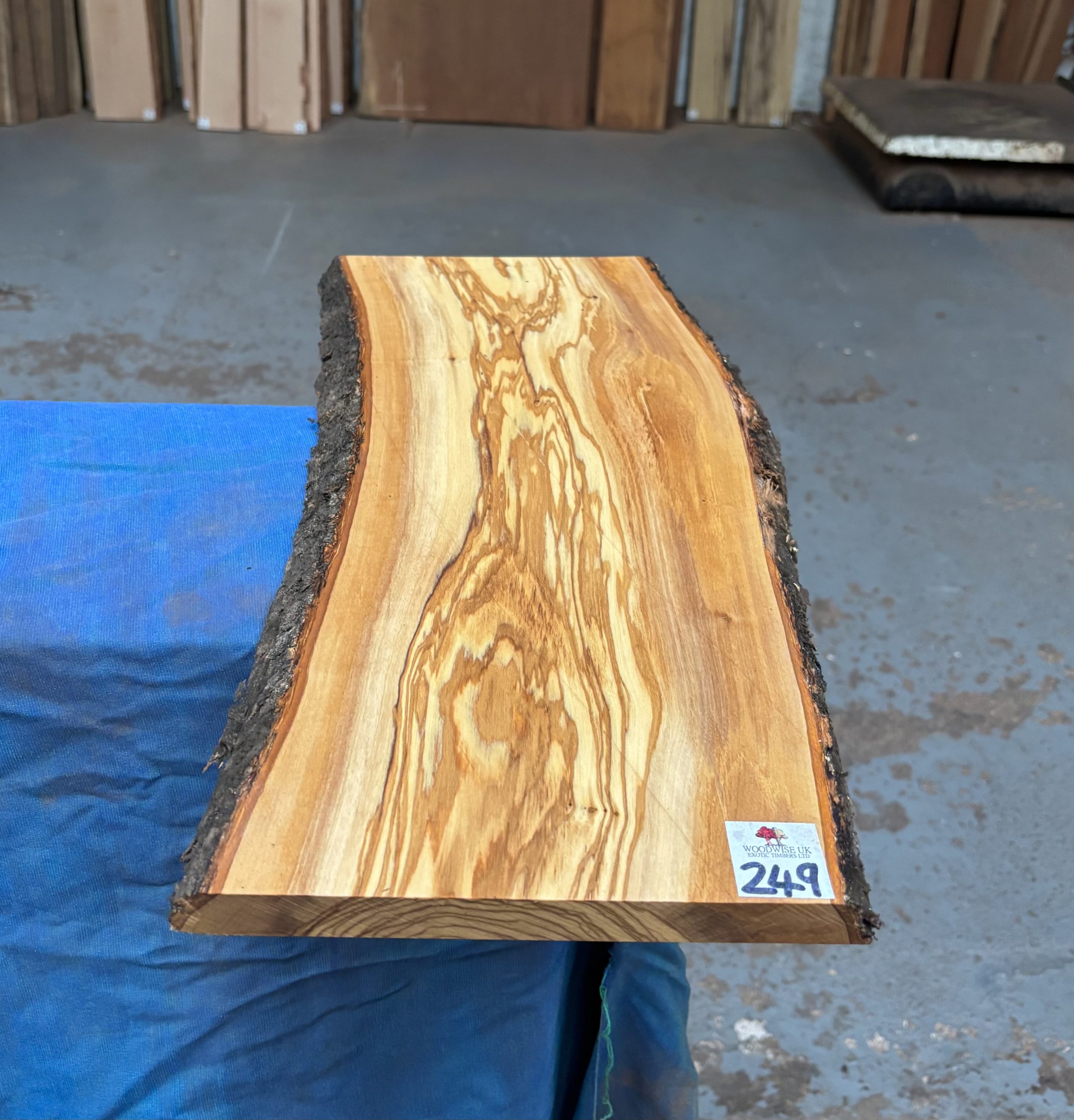 Mediterranean Olivewood Board 510x200-220x20 mm