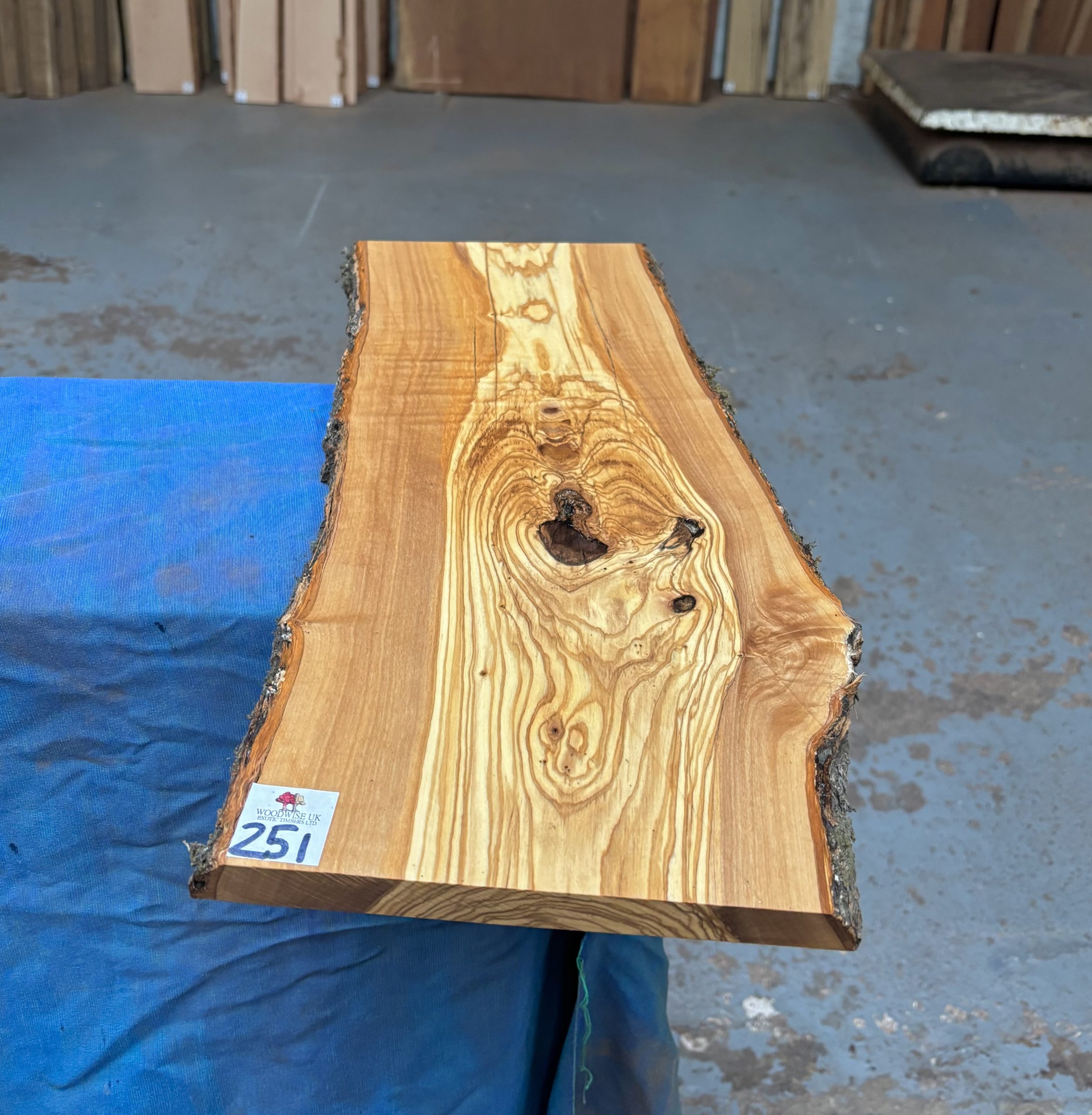 Mediterranean Olivewood Board 510x200-220x19 mm