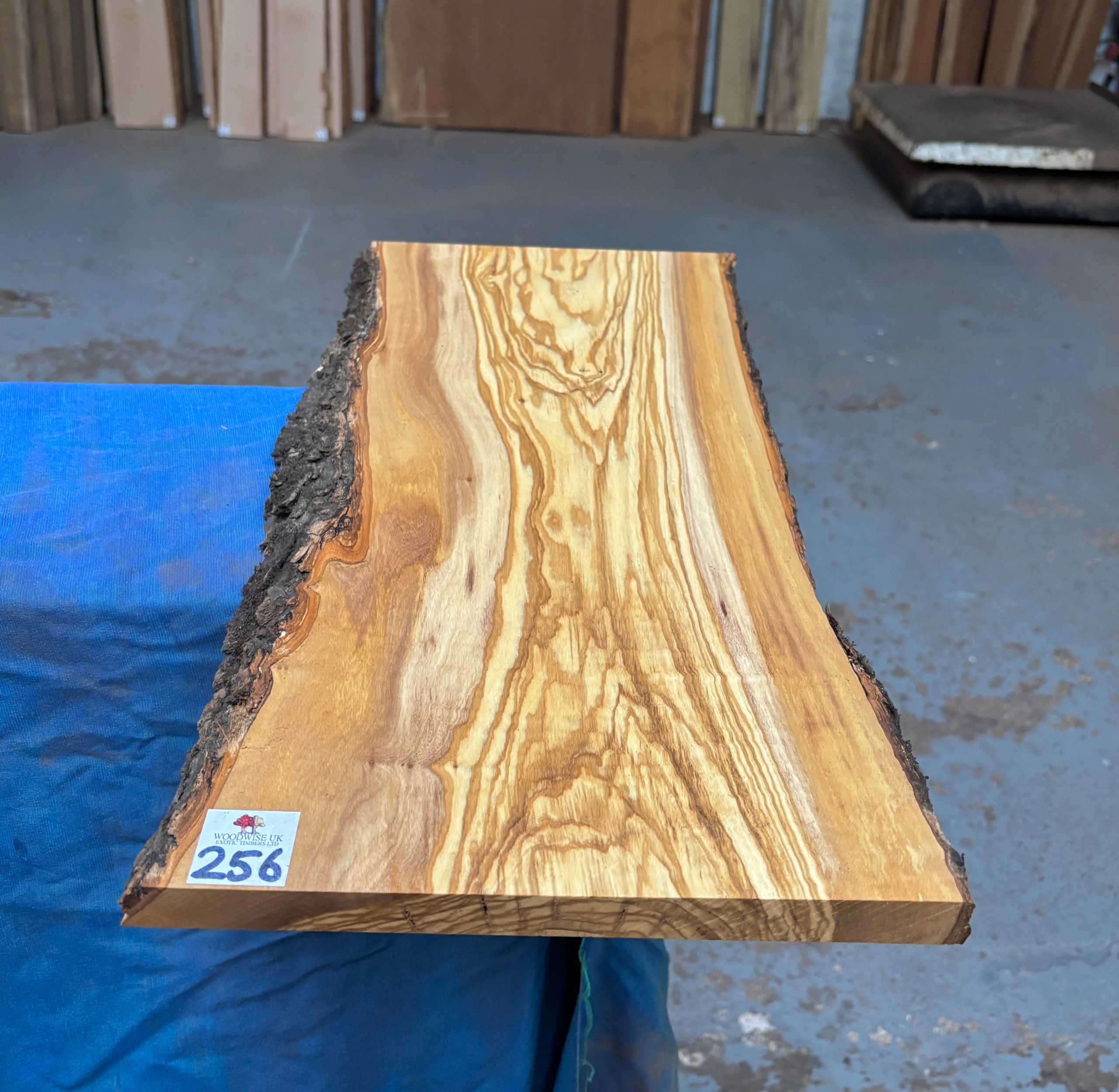 Mediterranean Olivewood Board 530x230-250x18 mm
