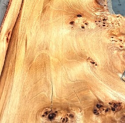 PIPPY GREY ELM